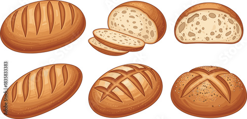 Set of assorted bread loaves including sliced rustic round and artisan styles for bakery food and breakfast vector design