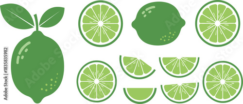 Set of green lime fruit illustrations including whole lime slices wedges and citrus segments in fresh vibrant vector design