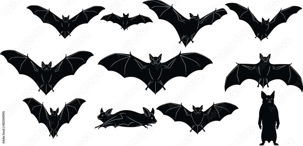 Fototapeta premium Different Poses and Angles of Mammal Outlines Collection for Halloween