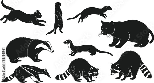 Black Silhouettes of Small Mammals including Raccoon, Meerkat, Cat, Badger, and Ferret in Various Poses Vector Collection.