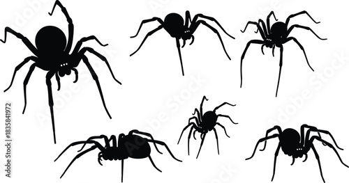 Black Silhouettes of Spiders in Different Poses Vector Collection for Halloween, Phobias, Scary Designs, and Wildlife Illustrations.