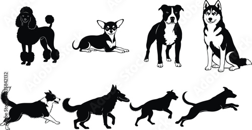 Poodle, Husky, Pitbull, Chihuahua, and Shepherd in Sitting, Running, and Jumping Poses