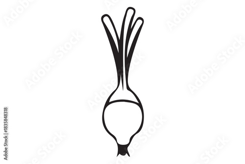 Simple hand drawn outline illustration of a fresh onion with green sprouts isolated on white background
