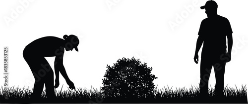Gardener kneeling to plant shrub while another worker observes in yard gardening scene with grass silhouette for landscaping and outdoor maintenance illustration
