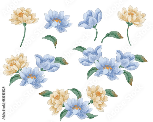 Yellow and Blue Aster Watercolor