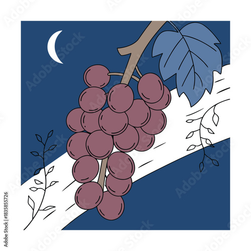 Stylized illustration of a dark purple bunch of ripe grapes hanging from a vine branch with a leaf against a deep blue night sky featuring a crescent moon