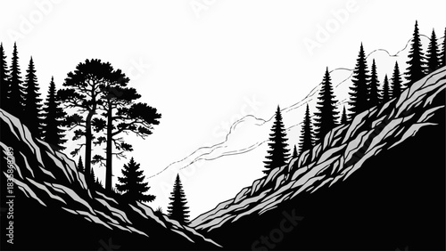 Dramatic Black and White Forest Landscape with Rocky Outcrops.