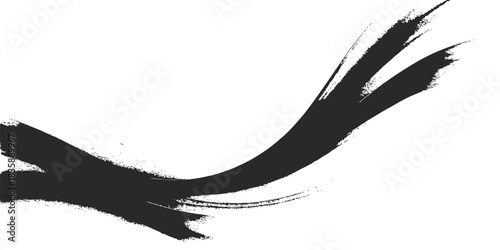 Black ink hand drawing of a grunge vector illustration nature art pattern with a bird eagle silhouette design symbol