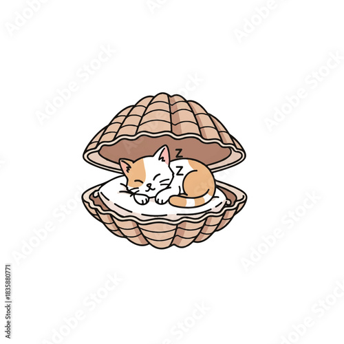Seashell Cat Nap