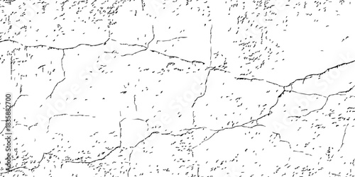 Minimal white cracked wall texture with fine lines, subtle grain, and natural aging details. High-resolution grunge background ideal for design, overlays, and creative surface effects.