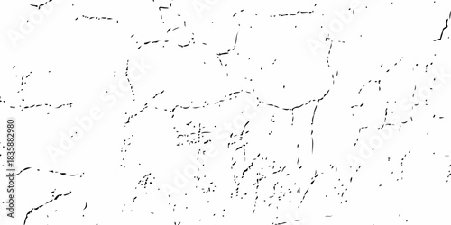 Minimal white cracked wall texture with fine lines, subtle grain, and natural aging details. High-resolution grunge background ideal for design, overlays, and creative surface effects.