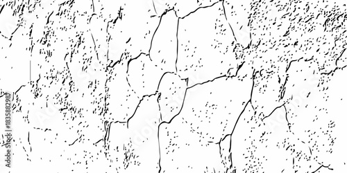 High-contrast cracked wall texture with rough, distressed surface, weathered lines and organic stone-like pattern, perfect for backgrounds, overlays, grunge design and abstract artistic use effects wo