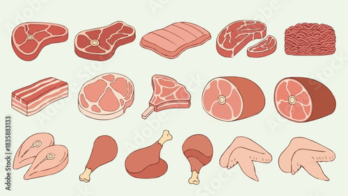 Collection of Raw Meat Cuts and Poultry Pieces.