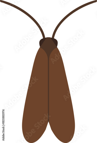 Brown hanging moth with narrow wings