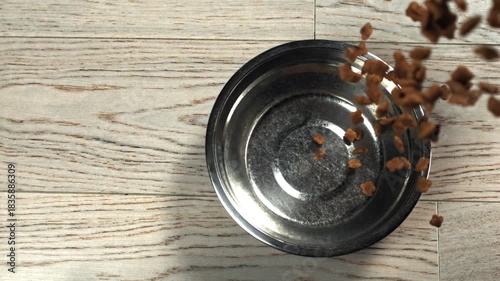 Dog food falls into the bowl. Filmed on a high-speed camera at 1000 fps. High quality FullHD footage