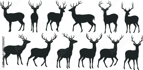 Collection of Elegant Deer and Stag Silhouettes with Majestic Antlers for Design