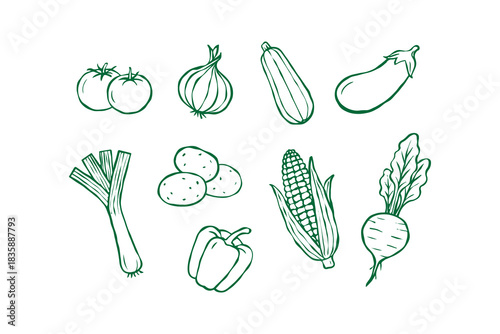 Set of Vegetables collection. Hand drawn organic food. Outline illustration of Tomatoes, onion, zucchini, eggplant, leek, potatoes, corn, peppers, beet. Vector isolated on white background design