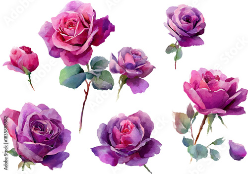 bouquet of pink roses