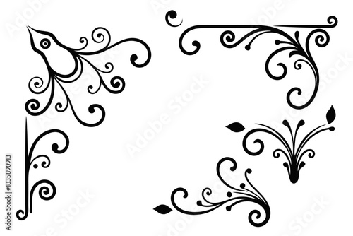 Elegant black and white flourish design elements for decoration