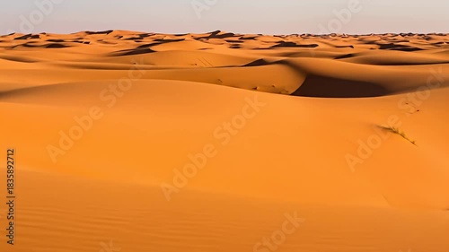 Rolling orange sand dunes stretch into the distance, with shadows creating depth