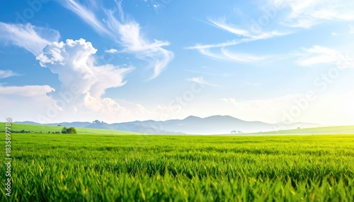 Rolling green fields under blue sky