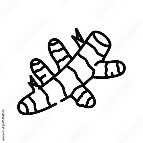 Simple Line Art Illustration of a Ginger Root