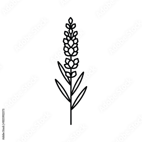 Minimalist Lavender Sprig Monoline Icon