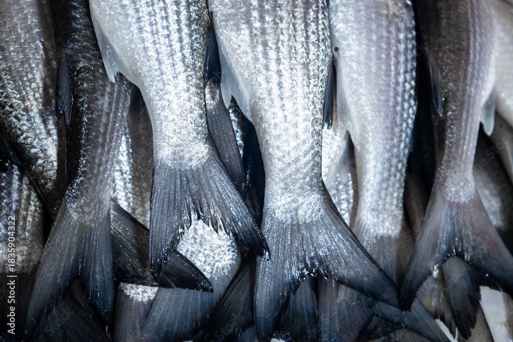 Obraz premium Fresh fish tails arranged in icy display for seafood market.