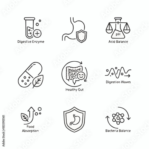 Collection of digestive health icons representing gut and enzyme themes