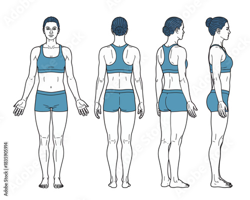 Female body chart anatomical reference in front back and side views vector illustration for medical or fitness purposes