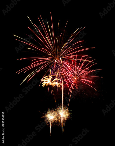 Colorful firework sparkling on black background for celebration and anniversary