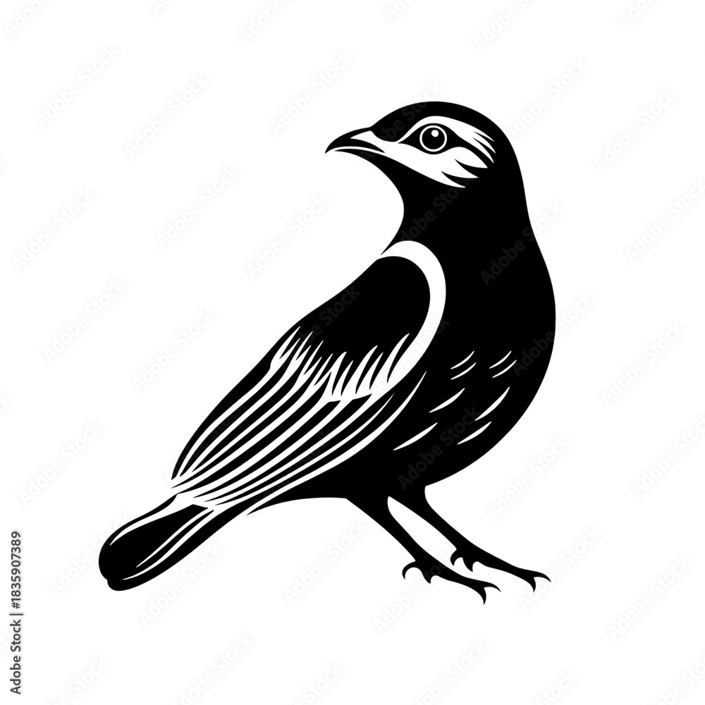 Obraz premium A detailed illustration of a black raven with outstretched wings in flight isolated on transparent background