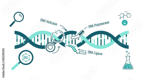 Explore the Building Blocks of Life DNA structure and replication with modern graphics for scientific and educational projects, biology breakthroughs