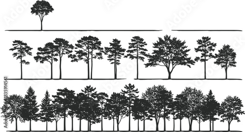 Technical Drawing of a Women's Cropped Hoodie Sweatshirt Vector Illustration, Front and Back Flat Sketch with Dropped Puff Sleeves for Fashion Apparel Design and Production,