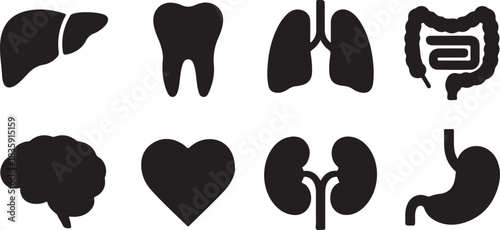 Healthcare Glyph Icon. Internal Organ Anatomy Black Pictogram. Human Brain, Intestine, Urinary System, Tooth, Stomach, Lung, Liver, Heart Silhouette Icon Set. Isolated Vector Illustration