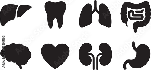 Healthcare Glyph Icon. Internal Organ Anatomy Black Pictogram. Human Brain, Intestine, Urinary System, Tooth, Stomach, Lung, Liver, Heart Silhouette Icon Set. Isolated Vector Illustration