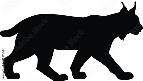 Lynx Wild Cat Silhouette – Isolated on Transparent Background Black Animal Vector Illustration