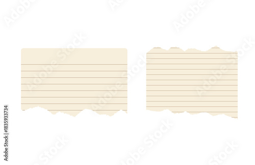 blank lined paper notebook paper with torn edges isolated on transparent background,note paper message office business tag sign,blank sheet of paper