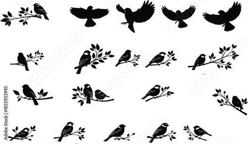 Black silhouette birds perched on branches and in flight on white background vector