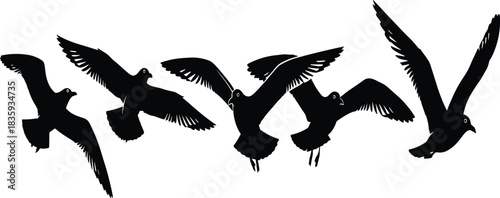 Five black silhouette seagulls in various flight poses against a white background