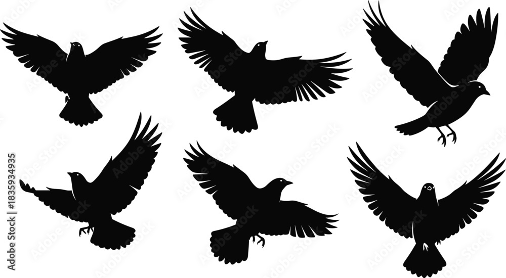Naklejka premium Six black bird silhouettes in flight on a white background flying wings