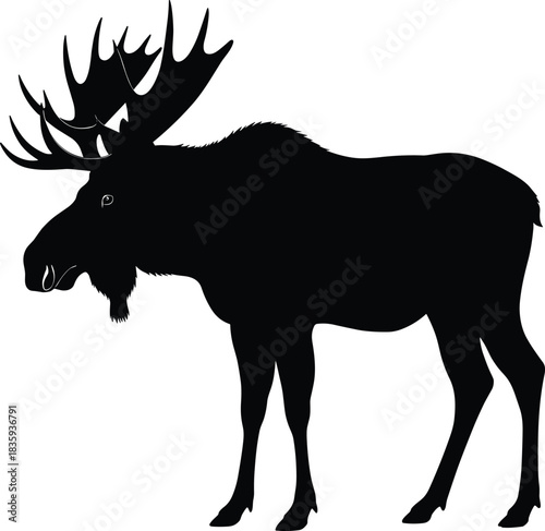 Moose Silhouette – Large Bull Moose with Antlers Standing Wildlife Animal Vector Illustration in Solid Black Isolated on Transparent Background