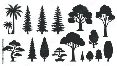 Silhouetted trees of various types, including palm, pine, and deciduous trees, in a graphic illustration.