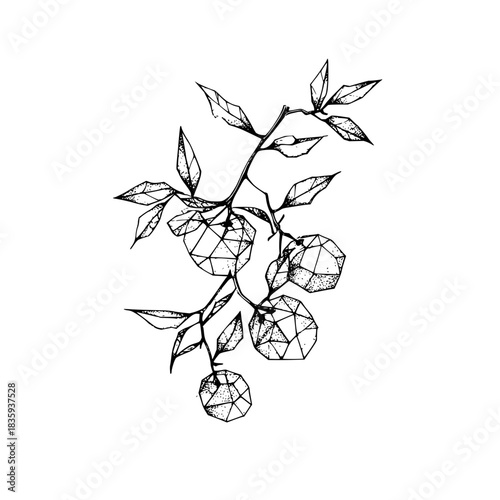 Whimsical ferris wheel with cookie cabins illustration for amusement park themed designs and more projects with it 100