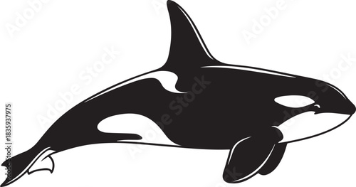 Killer Whale side view silhouette vector flat illustration design