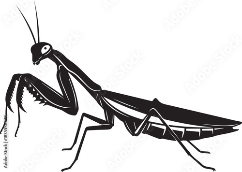 mantis side view silhouette vector flat illustration design