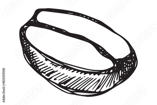 Hand drawn fresh roasted coffee bean Arabica robusta seed doodle Single element for print, web, design, decor