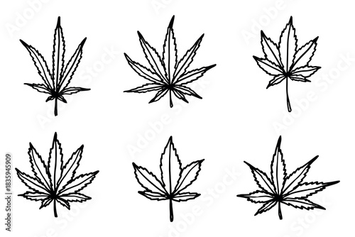 Set of hand drawn cannabis leaf Medicine marijuana Hemp leaves clipart in doodle style Single element for print, web, design, decor