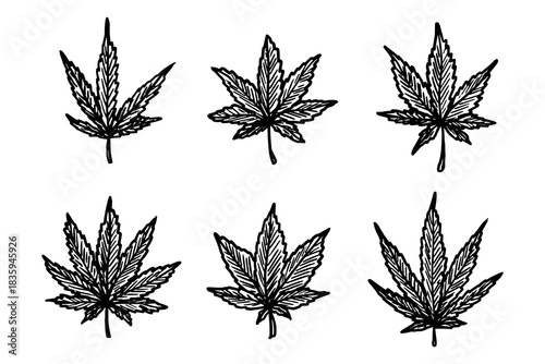 Set of hand drawn cannabis leaf Medicine marijuana Hemp leaves clipart in doodle style Single element for print, web, design, decor
