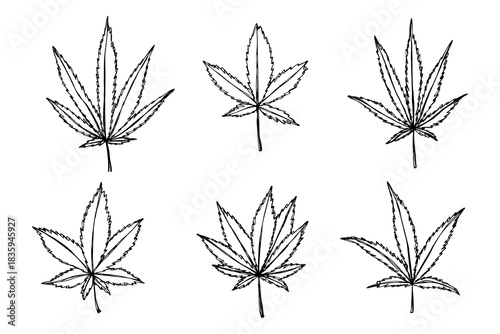 Set of hand drawn cannabis leaf Medicine marijuana Hemp leaves clipart in doodle style Single element for print, web, design, decor